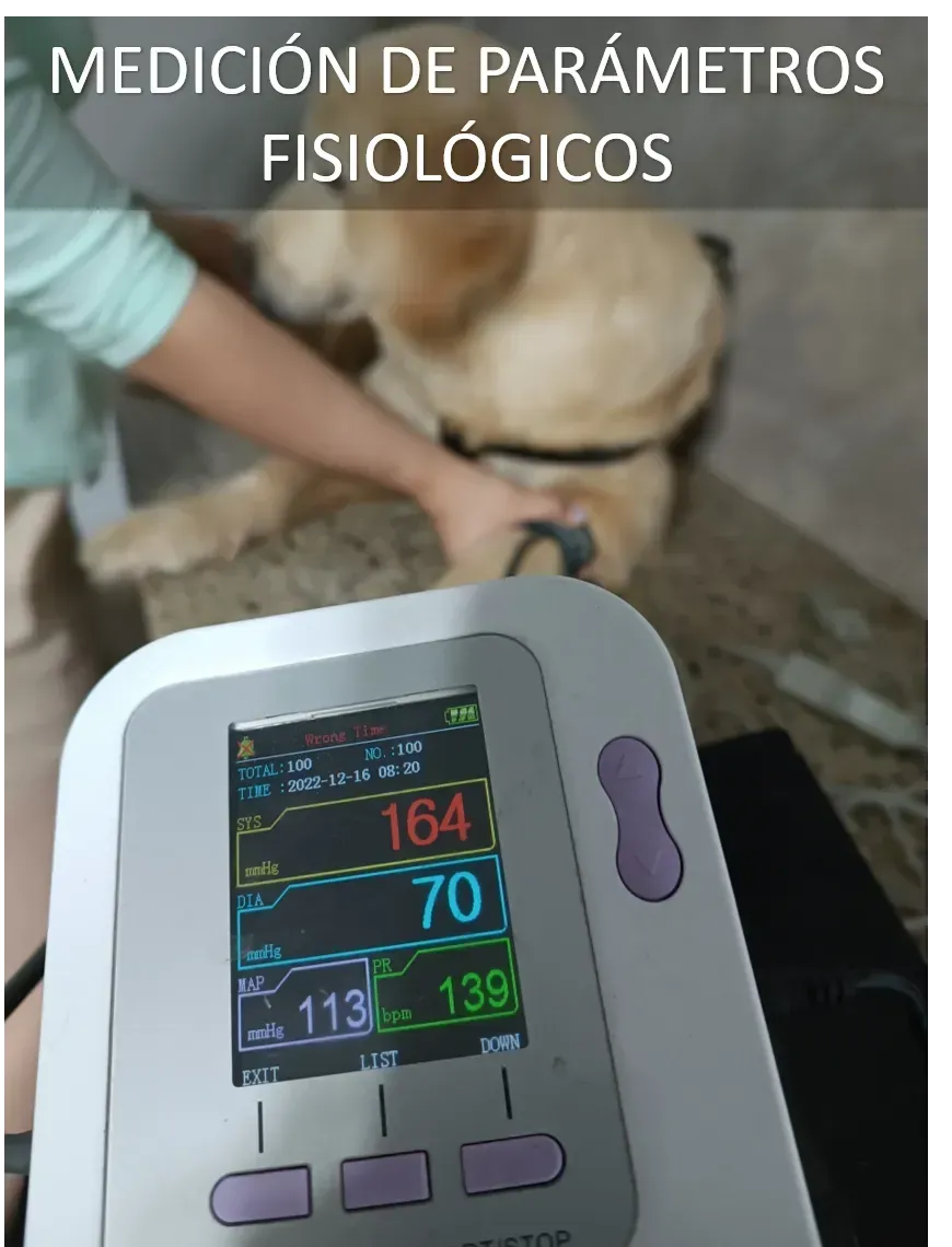 Consultas Médicas